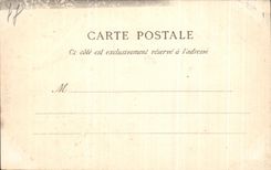 CPA Palate De Fontainebleau Shooting with the Arc Of Napoleon 1st