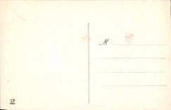 CPA Toulouse Le Capitole Cour Henri IV 