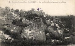CPA Drill of Fontainebleau Barbizon Seen On the rocks of Apremont and the Plain