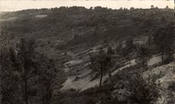 CPSM Saint Leanard Of Wood Seen on the Heather