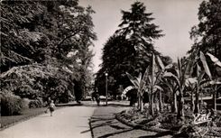 CPA Nancy Le Parc de la Pepiniere