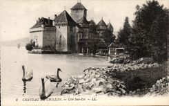 CPA Chateau de Chillon Cote sud Est Cygnes