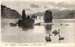 CPA Clarens Ile de Salagnon La Dent du Midi Cygnes