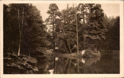 CPA Nantes the Botanical garden