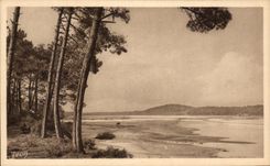 CPA the pond of Hossegor Dimensions Gascogne Money