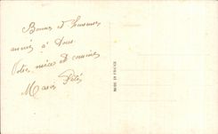 CPA Happy New Year and Soft Wishes Flowers Horseshoe