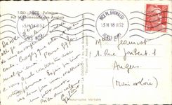 Palmeras de CPA Niza en la caminata del ingles