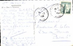 CPA Marrakech In the Morocco Palm plantation