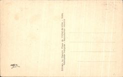 CPA Vichy Dans Les Grands Parcs Le Bassin Des Cygnes