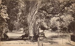 CPA Vichy Un Coin Du Parc Au Bassin Des Cygnes