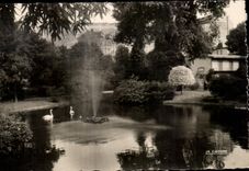 CPA Vichy Queen Of the Towns Of Water Basin Of the Swans In the large parks