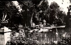 CPA Vichy a Corner Of the New Parks