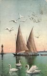 CPA Barque du lac leman suisse Cygnes Bateau