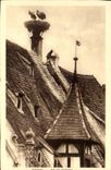 CPA Obernai Nest Of Storks