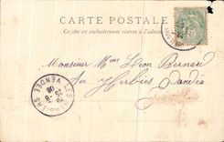 CPA Nueil Sapwoods the Cave