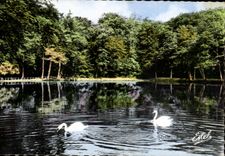 CPA Le Pin La Garenne Et Le Gue De La CHaine la foret de Belleme Cygnes