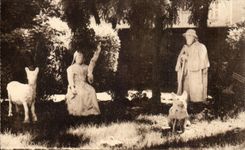 Fuente petrifying grande de CPA de las cuevas del lobo de la cabra de Peru de Saint Alyre Clermont-Ferrand