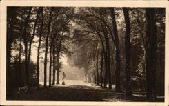 CPA Alle de l'Ete Versailles