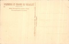 Tablas de CPA Petist de razon decorativa de Versalles de un piso del agua