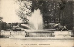 CPA Parc de Versailles Combat d'animaux Lion