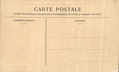 CPA Versailles Le Chateau Parterre De La Grande Orangerie Du Parc