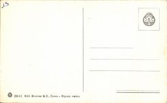 CPA Lago Magiore E veteada Isola Pallanza Viste tiene volo de Uccello