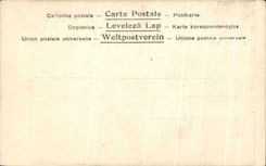 CPA Savlti Da Roma Colionna Dell'Immacolata