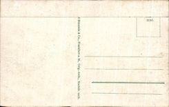 CPA Frankfurt Paulsplantz Mit Rathaus Einheilsdenkmal