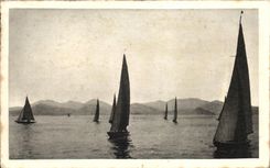 CPA Cote D'Azur Les Regates et l'Esterel Bateaux