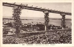 CPA Cannes Seen between the Flowers Pergola