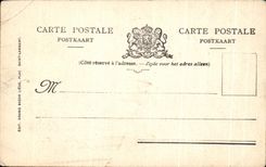 CPA Liege the Bull of Nice