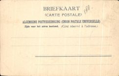 Tulipanes de CPA Tulpenveld