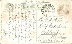 CPA Swan Not Spring Lake