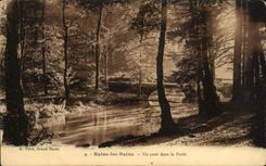 CPA Baths les Bains a Bridge in the Drill