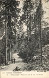 CPA Les Vosges Illustrees Gerardmer Route du tour du Lac rive droite