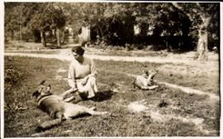 CARTE PHOTO Collau 1933 Femme et chiens 