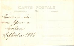 CARTE PHOTO Collau 1933 Femme et chiens 