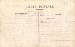 CPA Surroundings Of St Die the Dry Fir tree