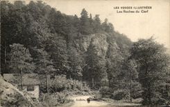 CPA the Illustrated Vosges Rocks Of the Stag