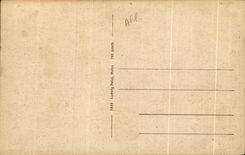 CPA Schlagenbad kath Kirche und Villen