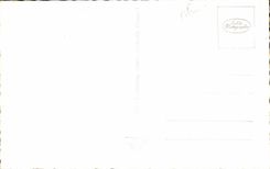 CPA In Herzog Friedchstrasse put Goldenem Dachl