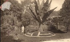 CPA Bordeaux Garden the Gambetta Public garden