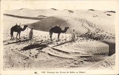 Paso de CPA de las dunas de arena con los camellos de los servicios