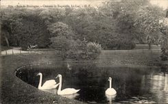 CPA Bois de Boulogne Castle of Trifle the Lake Swans