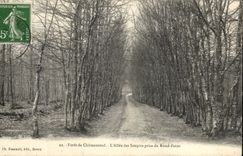 CPA Drill De Chateauneuf Allee Of los suspiros tomados Of el redondo no