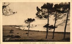 CPA Fromentine un escape en la parte estrecha