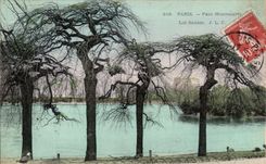 CPA Paris Montsouris Park Willows