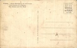 CPA Paris Zoological garden of Vincennes Move Them and the Rock Zoo
