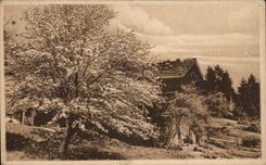 arbol de la casa del paisaje de CPA