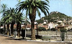 CPSM Hyeres Les Palmiers Vue Generale Au Fond La Colline Du Casteou